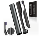 Electric Toothbrush, Portable Travel Sonic Toothbrush with Protective Case USB-C Rechargeable, Neutral Comfort Bristles, Waterproof, Smart Timer, Compact for Daily Use (Slate Gray)