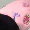 Axolotl Plush Toy, 8inch Kawaii Black Cat Wear Strawberry Plush Removable Hood, Cute Plushies Soft Stuffed Animal Doll, Valentine's Day Birthday Gift for Kids Boys Girls Adults (Pink)