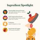 Made by Nacho Wet Cat Food Variety 12 Pack (3oz Each), Cage-Free Chicken, Sustainably Caught Salmon, Grass-Fed Beef with Bone Broth for Extra Hydration, Gravy Cut Pouches (EXP 12/18/26)