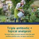 2 x Neosporin + Maximum-Strength Pain Relief Dual Action Ointment, First Aid Topical Antibiotic & Analgesic Ointment for 24-Hour Infection Protection with Bacitracin Zinc & Pramoxine HCl,.5 oz (0.5 Ounce)