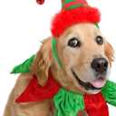 Dog Elf Hat Headband and Christmas Pet Collar with Bells