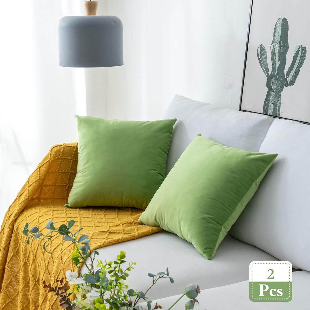 Stellhome Pack of 2 Velvet Pillow Covers Square Decorative Cushion Covers for Bed Couch Sofa Bench, 22 x 22 inch (55 x 55 cm), Apple Green