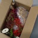 Tfwadmx Aquarium Decorations Resin Pineapple Fish Tank House Hermit Crab Hideout Cave Shelter Decor Underwater Landscape Hut Aquarium Ornament for Shrimps Breeding Hiding (Orange)