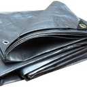 Tarps Now 10x15 ft Heavy Duty Plastic Tarp (Poly Tarp)|12 MIL Waterproof Cover|Rip & Tear-Resistant|Rustproof Grommets & Reinforced Edges|Ideal for Roof, Camping, Tent & Outdoor Protection - Silver