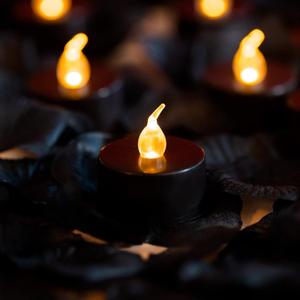 LANKER 500PCS Black Artificial Rose Petals with 24PCS Black Battery Operated Flickering Flameless Tea Lights Candles (Black Tea Lights with Black Rose Petals)