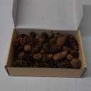 40 PCS Rustic Pine Cone Decorations - Large, Medium and Mini Sizes for Table, Tree and Home Decor