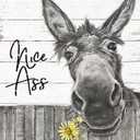 Funny Donkey Sunflower Bathroom Wall Art Metal Tin Sign Bathroom Wall Decor Nice Ass Farmhouse Bathroom Sign for Toilet Restroom Washroom Decor Gifts Vintage Retro Poster Plaque Donkey Accessories Farm Decor 12x16 Inch