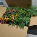 Artificial Grass Wall Backdrop Panels, 40"x40" UV-Anti Greenery Backdrop Wall, Faux Boxwood Panels for Patio, Garden, Backyard Indoor Outdoor Green Wall Decor & Privacy Fence Covering (C001)