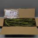 118 inch Small Green Artificial Tree Branches Grapevine Garland Ivy Willow Vines Plants Fake Cherry Blossom Tree Trunk Twigs for Wall Hanging Forest Room Home Wedding New Year Decoration