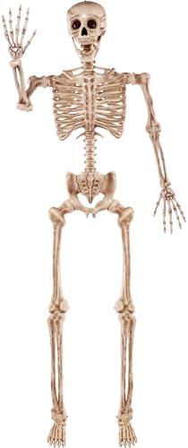 JOYIN 5.6 FT Halloween Posable Life Size Skeleton, Full Body Realistic Bones with Movable Joints, Giant Skeletons Halloween Decorations for Indoor Outdoor Haunted House Props, Spooky Scene Party Decor