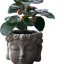 Buddha Head Planter with Drainage Hole - Zen Flower Pot for Succulents, Unique Garden Farmhouse Decor, Home & Office Decor, Gift for Plant Lovers (Grey)