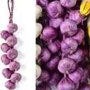 Artificial Garlic String - 1 Pack Lifelike Simulation Fake Vegetable Hanging String for Photography Props, Home, Office, Kitchen, Harvest Decoration (Purple, 1pc)