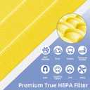 116131 Replacement Filter I for Winix C555 5500-2 Am80 Plasmawave Air Purifier True HEPA Carbon Filter,2 Set