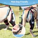 Dog Knee Brace with Lift Harness for Back Legs, Set of 2 Adjustable Non-Slip Support for Large & Senior Dogs, ACL/CCL Injury & Mobility Aid, Black, X-Large