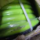 Flexzilla Pro Water Hose, Bulk Plastic Spool, 5/8 in. x 250 ft., Heavy Duty, Lightweight, ZillaGreen - HFZ58250YW