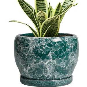SQOWL Ceramic Pot for Plants - 6 Inch Ceramic Planter with Drainage Hole and Saucer, Round Flower Pot for Indoor Outdoor, Decorative Small Planter, Room Home Decor, Plant Lover Gifts, Green