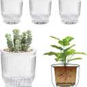 T4U 4 Inch Self Watering Plant Pot, 4 Pack Self Watering Pots, Self Watering Planter with Reservoir, Clear Self Watering Pots for Indoor Plants, African Violets, Flowers (4 Pack, 4", Clear)