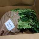 FOREST PRINCE 45" Fake Ferns, Realistic Large Artificial Bush Plants, 2 Artificial Boston Ferns with 59 Fronds for Outdoors Planter Indoor Home Garden Porch Decor