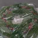 24 Inch Lighted Christmas Wreath for Front Door，Norfolk Pine Green Prelit Christmas Wreaths, Real Touch Wreath for Home Decorations Xmas Indoor Outdoor Decor (Green)