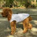 Winter Vest With Cotton Lining, Waterproof Ultra Warm Coat, Windproof Zippered Jacket, Breathable Soft for Small Medium Large Dogs, White XL