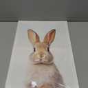 LYUNSHUO Bunny Canvas Wall Art Nursery Wall Decor Cute Rabbit Picture White Poster Animal Painting Minimalism Artwork for Kids Room Living Room Bedroom Home Decorations - 24"L x 16"W