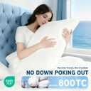 Luxury Canadian White Goose Down Pillows Set of 2, Soft 1450+ Fill Power with 100% Cotton Shell Down Pillow 2 Pack, Queen/Pack of 2