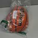 Wilson Evolution Basketballs
