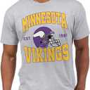 Junk Food Team Helmet NFL Shirt (Large, Grey)