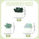 18pcs Plant Magnets, Cute Fridge Magnets Funny Aesthetic Succulent Magnets for Locker Desk Accessories Magnetic Plant Decorative Magnets for Kitchen Refrigerator Office Whiteboard