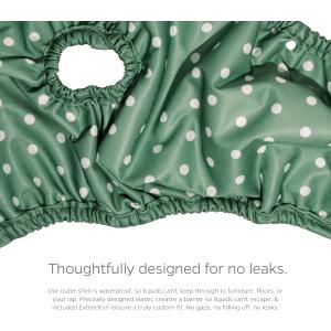 Pet Parents® Washable Dog Diapers (1 pack) + Extendrs® of Durable Doggie Diapers, Premium Dog Diapers Female (Large, Daisy)