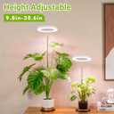LORDEM Grow Light, LED Plant Light for Indoor Plants Growing, Full Spectrum Desk Growth Lamp with Automatic Timer for 4H/8H/12H, 4 Dimmable Levels, Height Adjustable 9.8"-30.6", 2 Pack