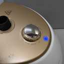 Steamer for Clothes,1800W Standing Garment Steamer with Adjustable Double Rod,Flat and Hanging Ironing,Clothes Steamers with 10 Ironing Modes,30s Fast Heat-up (White gold)