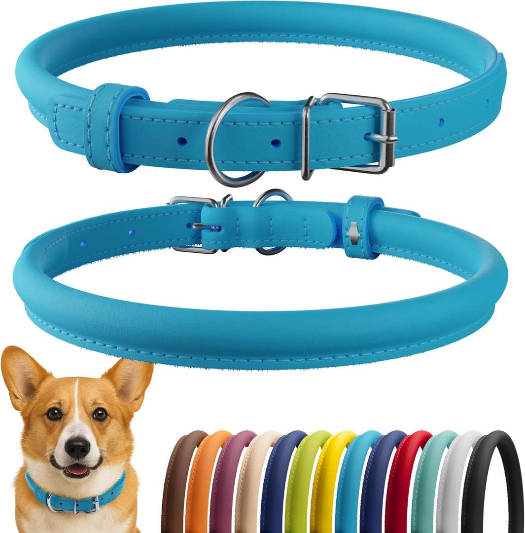 CollarDirect Rolled Leather Dog Collar, Soft Padded Round Puppy Collar, Handmade Genuine Leather Collar Dog Small Large Cat Collars 13 Colors (13-16 Inch, Light Blue Smooth)