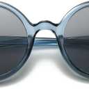 Retro Round Sunglasses for Men Womens Vintage Trendy Circle Sunglasses Costume Cosplay Sun Glasses UV400 Protection (Blue/Transparent Grey)