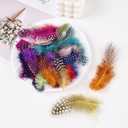 FeelfunFeather 240 pcs Colored Spotted Feathers 2-3inch Bulk Small Guinea Fowl Polka Dot Feather for DIY Crafts Clothing Hats Decoration
