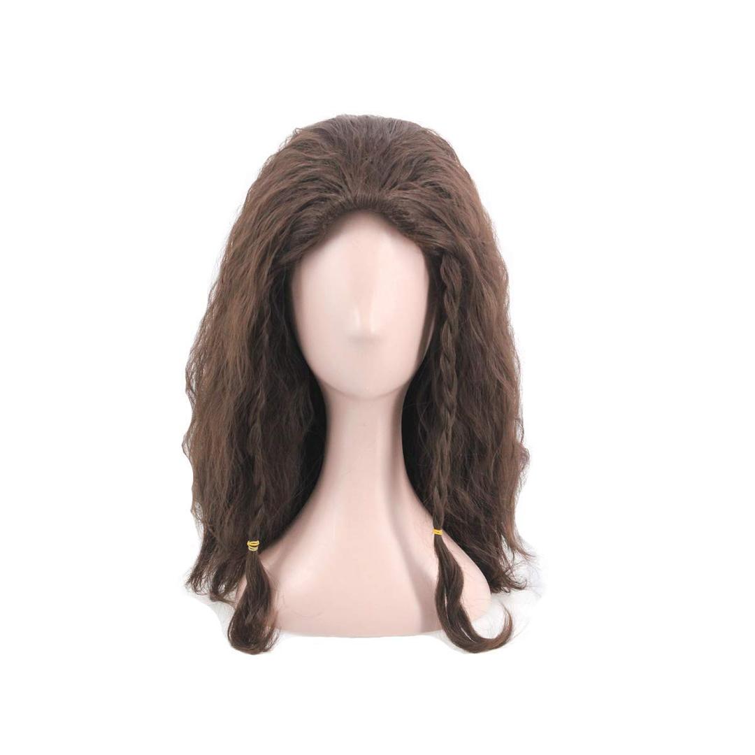 Man's Short Fluffy Cosplay Wig Haollween Wig for Movie (Dark Brown)