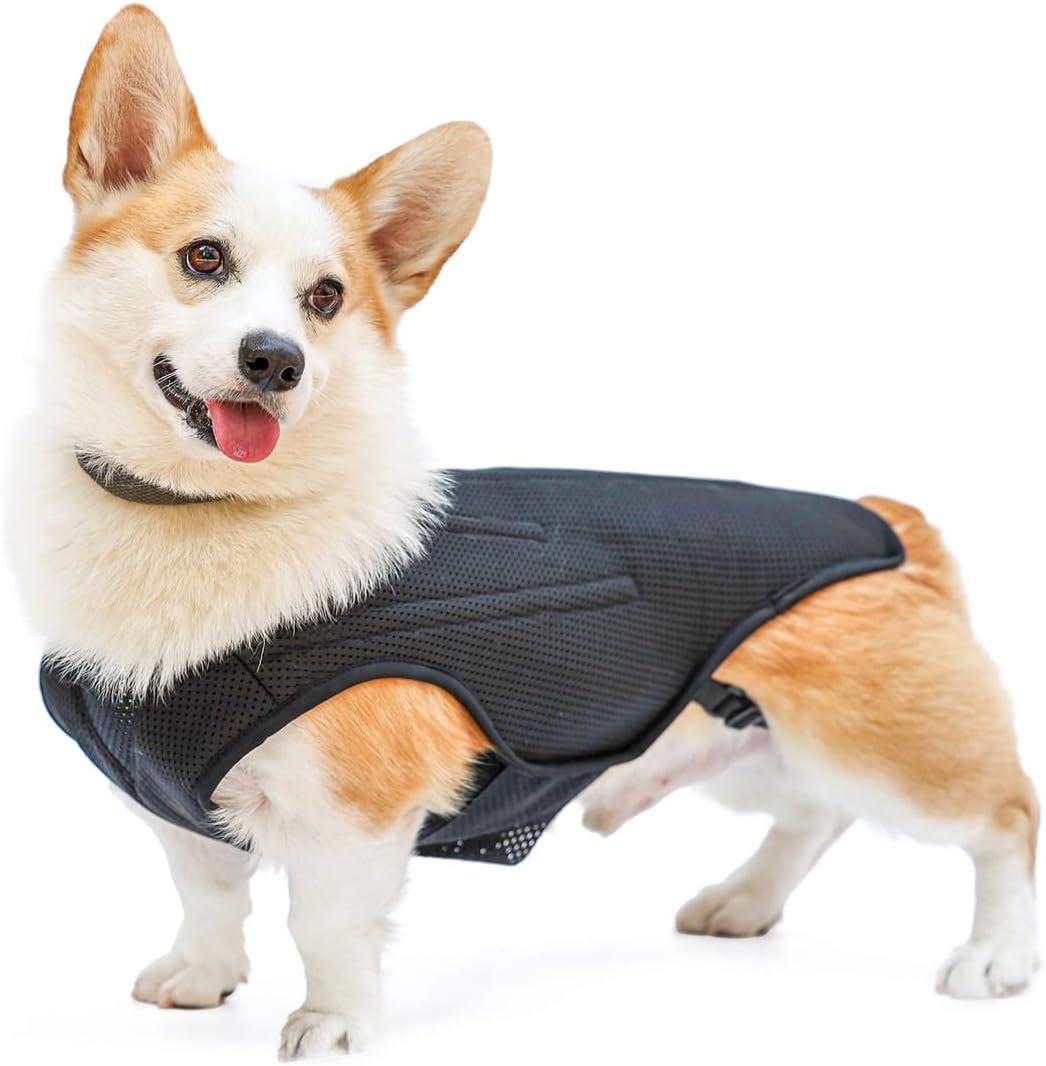 IVDD Back Brace for Dogs, Flexible Pet Dachshund Back Supporting Vest, Dog Back Bracer for Small Pet with Arthritis, Back Pain,Herniated Disc,Spinal Surgical Recovery (L)