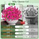MARTINE MALL 12 Bundles Look Real Artificial Flowers for Outdoors, Realistic Fake Outdoor Flowers, UV Resistant Silk Petunia Flowers for Outside Faux Flowers Plants for Outdoor Porch, Fuchsia