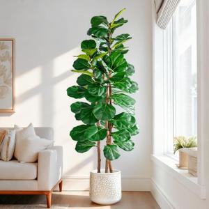Artificial Fiddle Leaf Fig Tree 5FT, Faux Fig Tree Indoor with Natural Wood Trunk & Realistic Leaves with Moss Pot Fake Ficus Tree Large Faux Floor Plant for Living Room Home Decor, House Plant