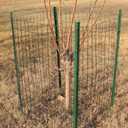 FOREHOGAR Black PVC Coated Welded Wire Fence 24 Inch x 50 Foot, 2 Inch x 3 Inch 16GA, Garden Border Fencing Roll Vinyl Coating Metal Wire Mesh for Yard Vegetable Plant Protection Poultry Netting