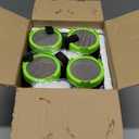 Lulonpon Sprouting Kit, 4 Sprouting Jar Kits, Wide Mouth Quart Mason Jars with Stainless Steel Screen Sprout Lids,1000ml Sprouts Growing Kit, Seed Sprouter Set for Growing Broccoli, Bean, Alfalfa  (Green)