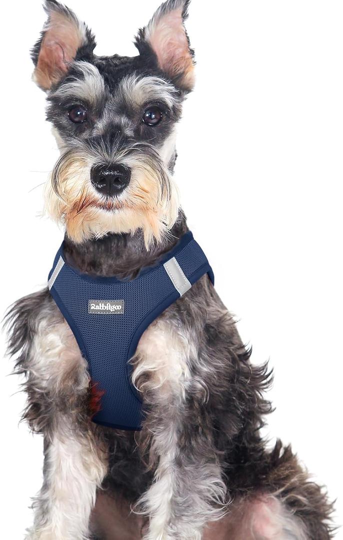 rabbitgoo Small Dog Harness, Step-in Soft Mesh Puppy Vest with Safety Buckle, Breathable Reflective Pet Harness for Large Dogs, Navy Blue XXL (XXL(Chest:21.6"-23.7"))