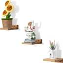 Small Floating Shelf,5 Inch Carbonized Black,Set of 3 Small Wall Shelf for Bedroom Living Room Bathroom Kitchen Office