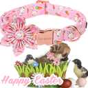Unique style paws Easter Dog Collar with Flower Tie Rabbit & Carrot Puppy Collar for Small Medium Large Boys Girls-L