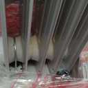 Amazon Basics Portable Oil Radiator Heater, Indoor Use, 3 Heat Settings, Over-Heat Protection, ETL-certified Safety, 7 Oil-Filled Steel Fins, 1500W, Tip-Over Protection, 11"D x 14.8"W x 25.2"H, White