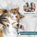 LBRO2M 100% Cotton 1200 Thread Count Queen Size Sheets Set,16 inches Deep Pocket,Bed Sheet 4 Piece Sets (White, Queen)