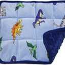 MAXTID Weighted Lap Pad for Kids 5 Pound Travel Size Mini Weighted Lap Blanket Blue Dinosaur 16"x22" for Kids Boys Sensory Gifts