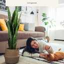 KOL 3ft Artificial Snake Plant, Fake Sansevieria Potted Plants, 32 Thick Lifelike Faux Leaves, Indoor Home Office Decor, Mother-in-Law Tongue Houseplant, 35in, Green (1-Pack)