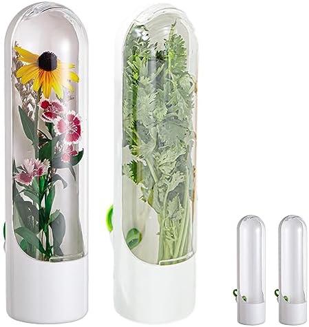 XIHUADOU Cilantro Container for Fridge, Fresh Herb Keeper, Herb Saver for Refrigerator, Reusable Vegetable Storage Preservation Bottle Keeps Cilantro Greens Fresh(COLOR:Silver)