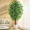 6.2ft Ficus Artificial Trees with 3 Natural Curved Trunks, 74" Tall Lush Faux Tree for Home Decor Indoor, Green Lifelike Fake Ficus Tree 1pcs